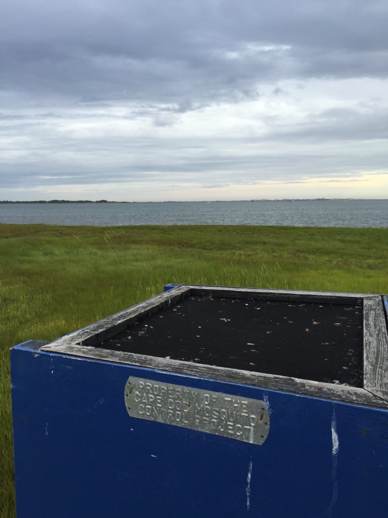 Blue Box in the Marsh