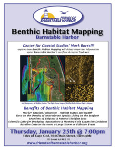 Benthic Habitat Mapping