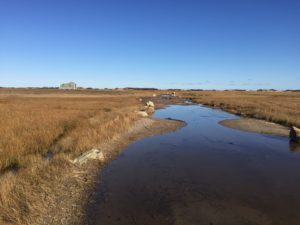 Pretty Marsh Scene on Barnstable Harbor's Navigation Road