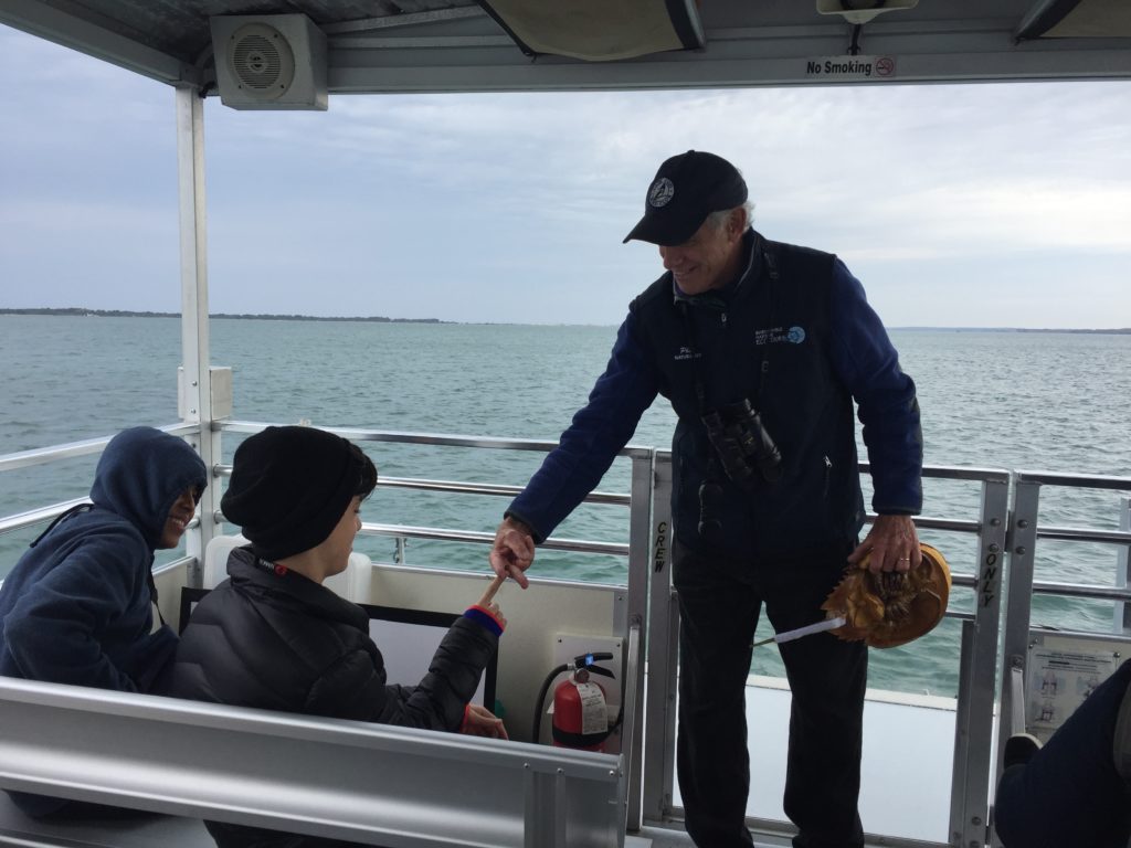 Youth Education Program:  BH Ecotours naturalist Phil Kyle teaching about horseshoe crabs