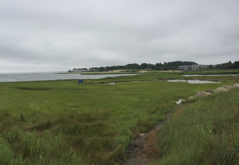 Long marsh view of entrance to Barnstable Harbor Marina